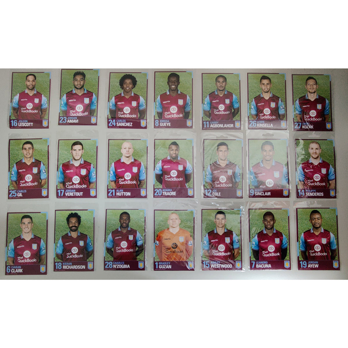 Aston Villa 2015-2016 Player Pictures